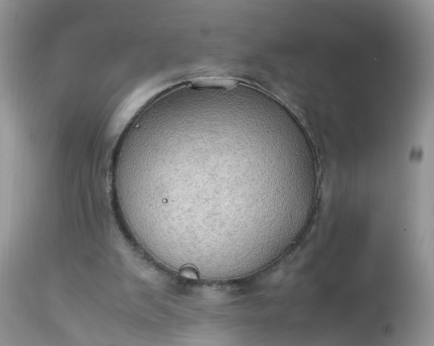 X0000113110103200909111124