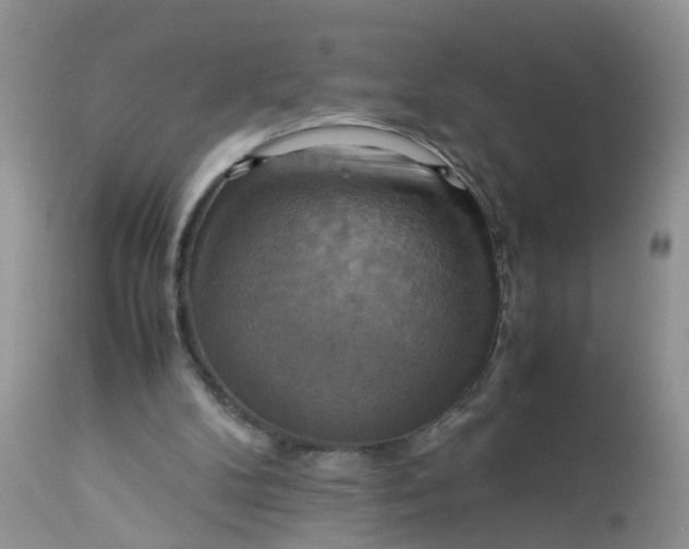 X0000113110104200909111124