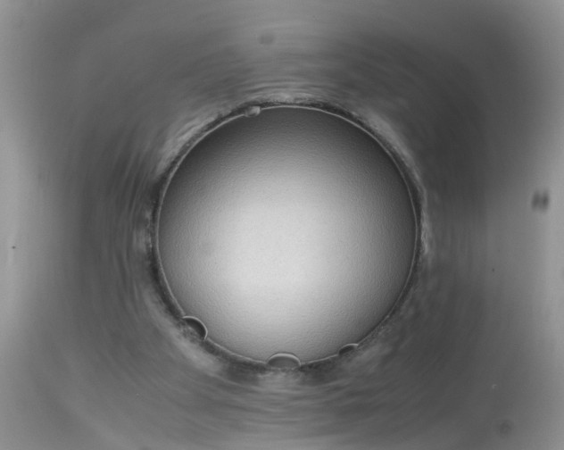 X0000113110105200909111124