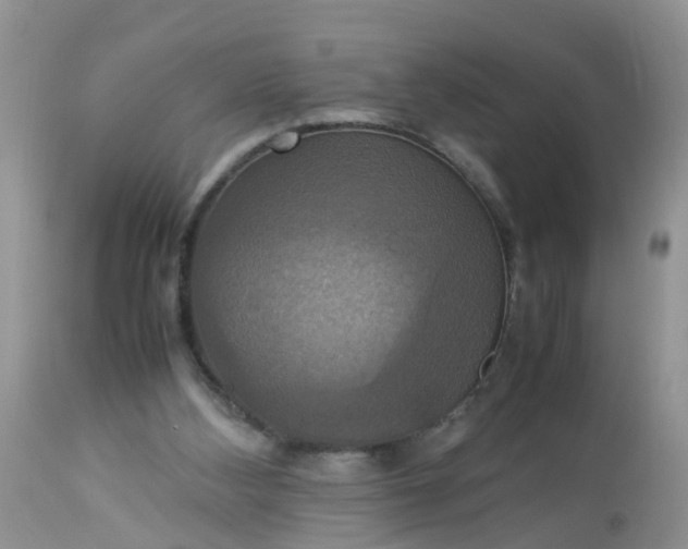 X0000113110108200909111124