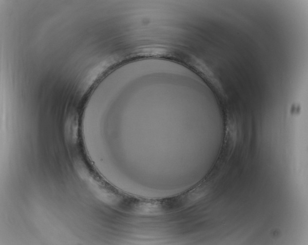 X0000113110110200909111124