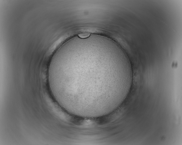 X0000113110111200909111124