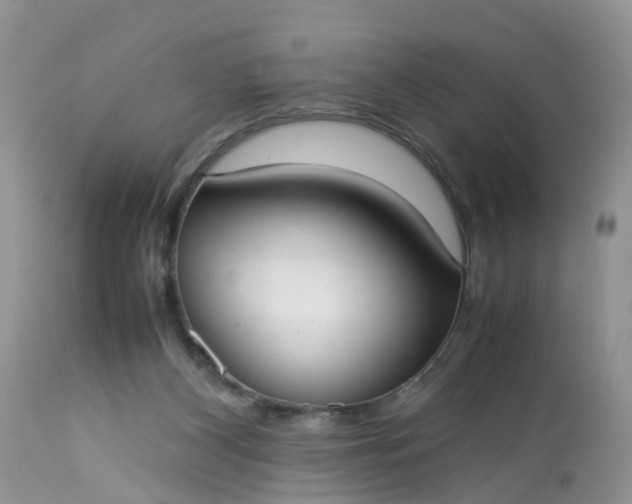 X0000113110116200909111124