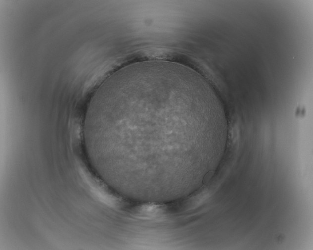 X0000113110117200909111124