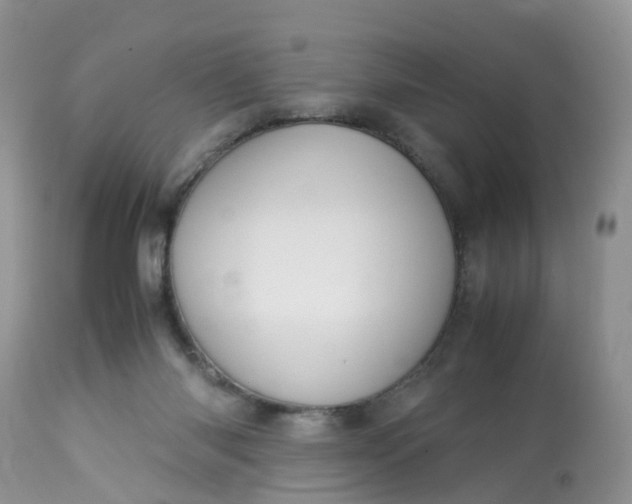 X0000113110118200909111124