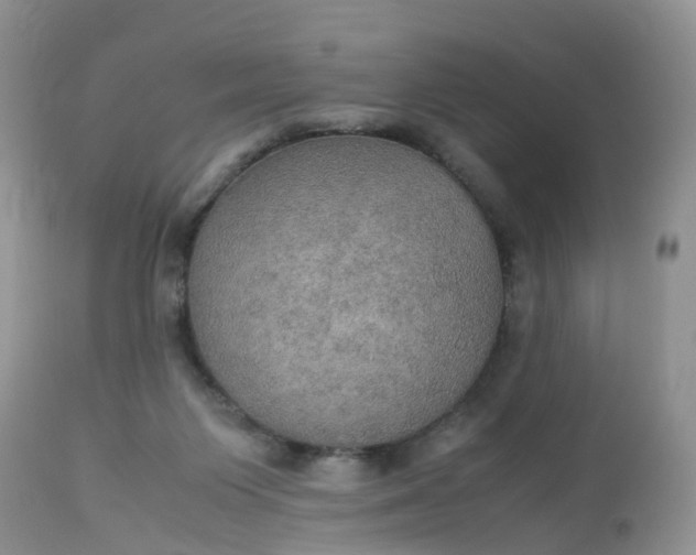 X0000113110119200909111124