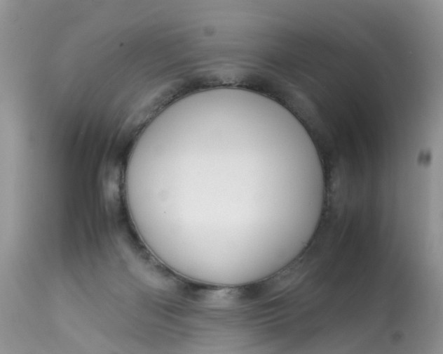 X0000113110122200909111124