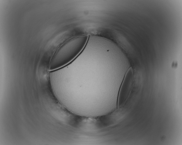 X0000113110125200909111124