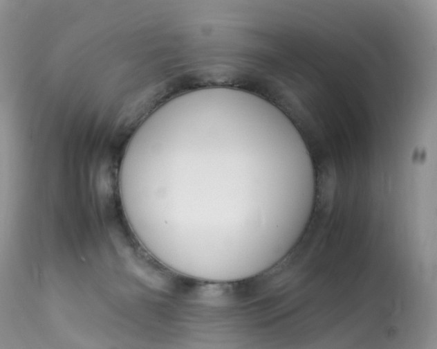 X0000113110126200909111124