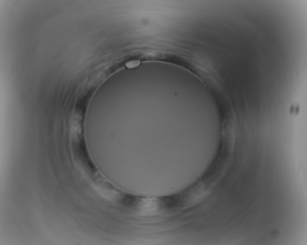 X0000113110127200909111124