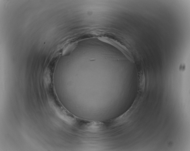 X0000113110128200909111124
