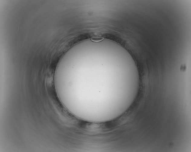X0000113110129200909111124