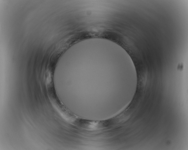 X0000113110130200909111124