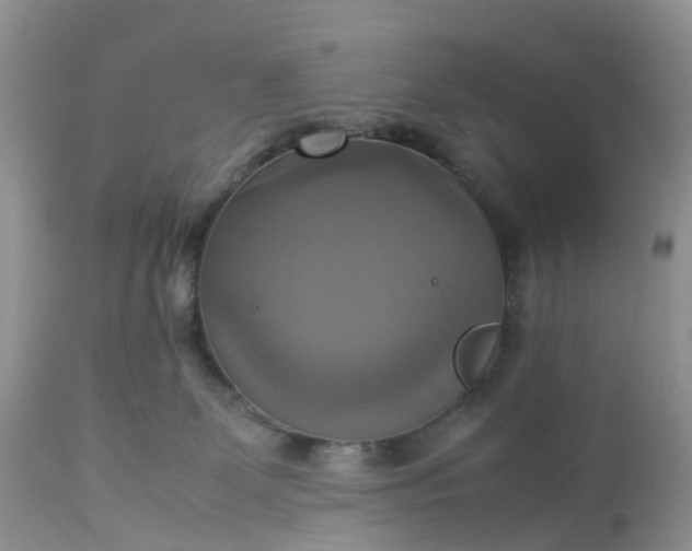 X0000113110131200909111124