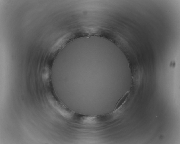 X0000113110132200909111124