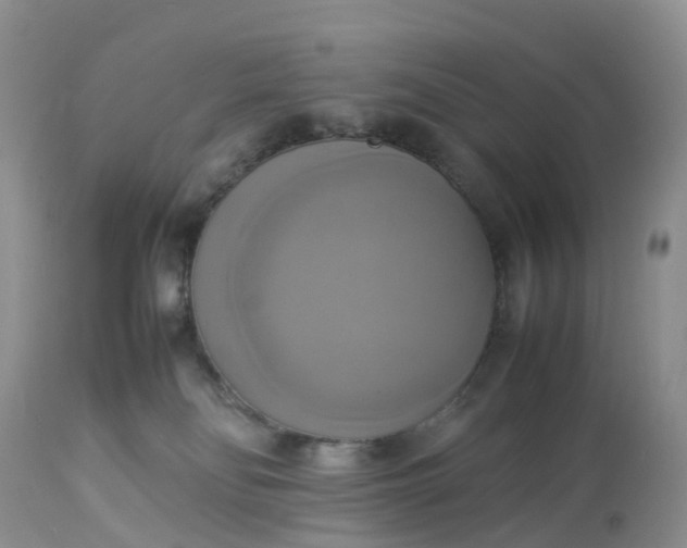X0000113110134200909111124