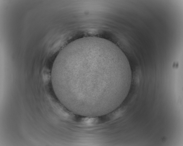 X0000113110135200909111124