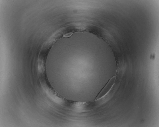 X0000113110136200909111124