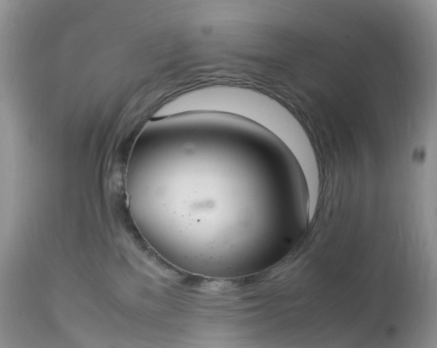 X0000113110137200909111124
