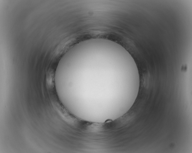 X0000113110138200909111124
