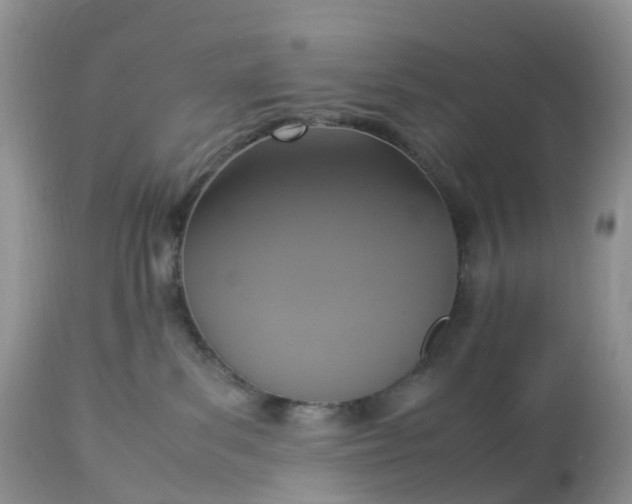 X0000113110139200909111124