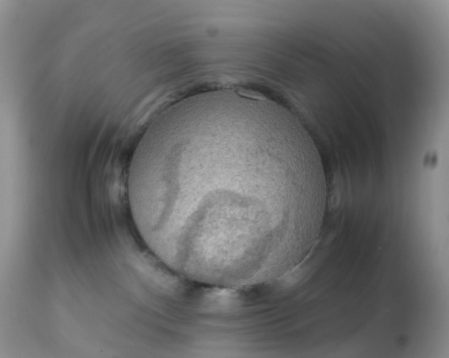 X0000113110140200909111124