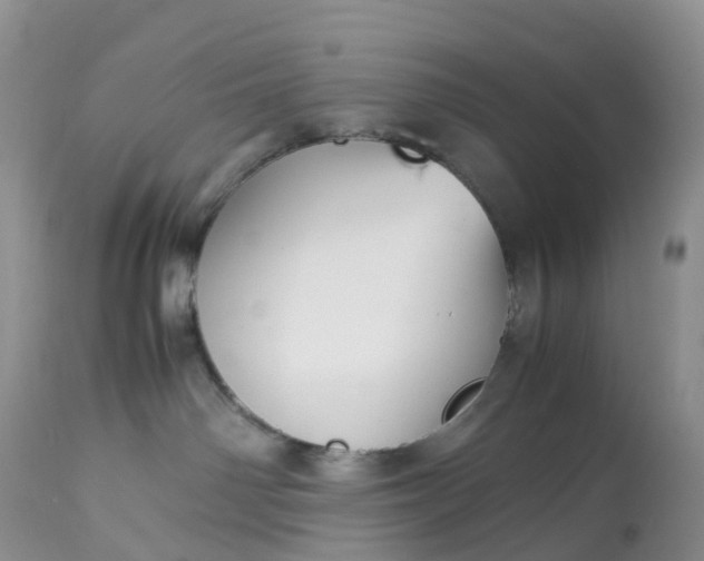 X0000113110142200909111124
