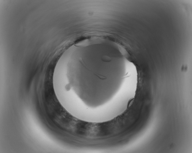 X0000113110143200909111124