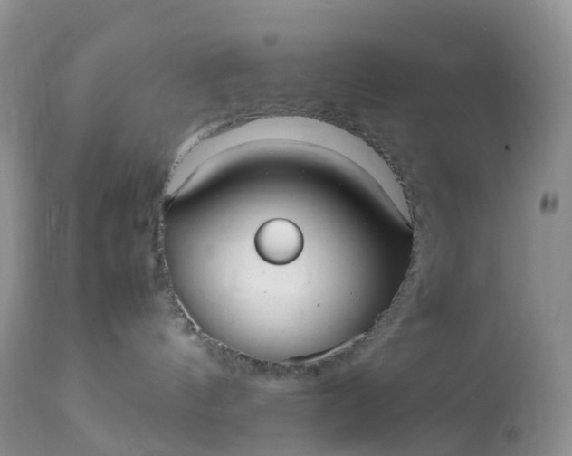 X0000113110144200909111124
