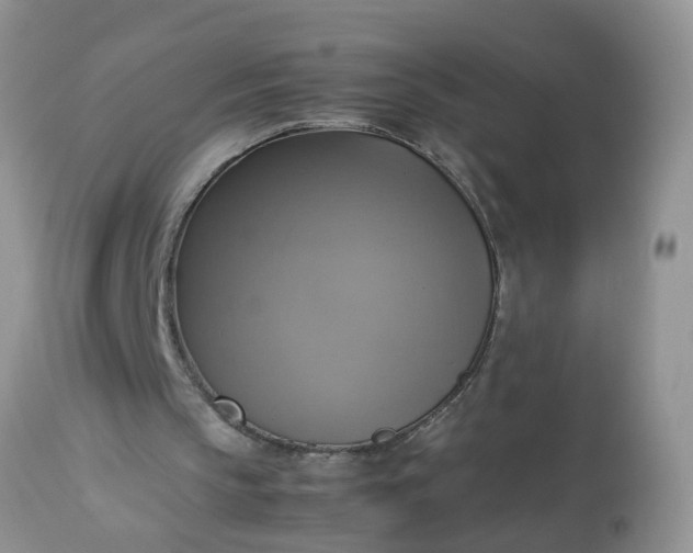 X0000113110145200909111123