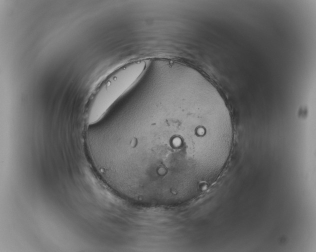 X0000113110146200909111123