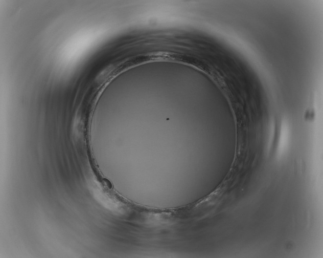 X0000113110147200909111123
