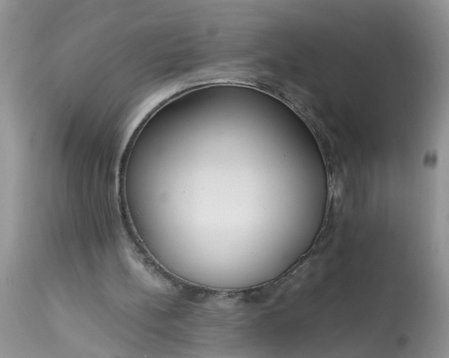 X0000113110148200909111123