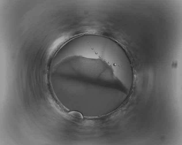 X0000113110149200909111123