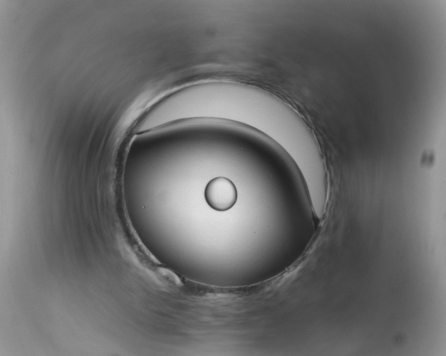 X0000113110150200909111123