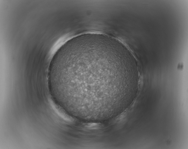 X0000113110151200909111123