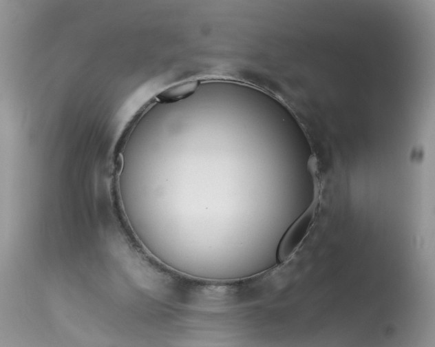 X0000113110152200909111123