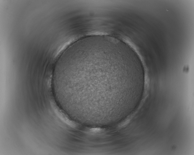 X0000113110153200909111123
