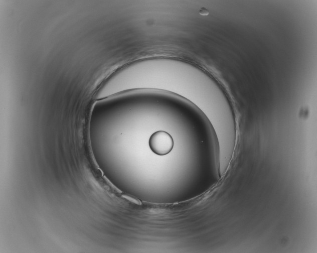 X0000113110154200909111123