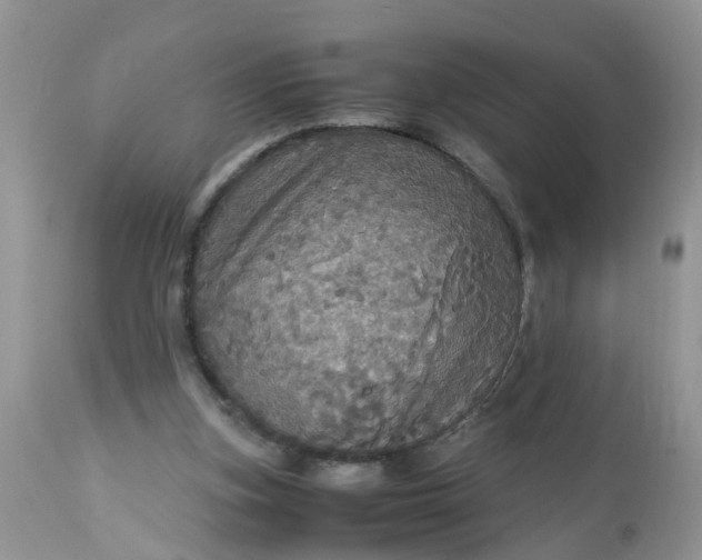 X0000113110155200909111123