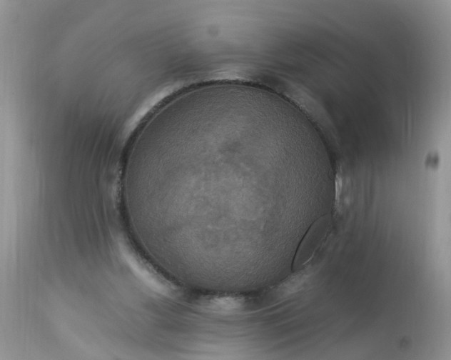 X0000113110156200909111123