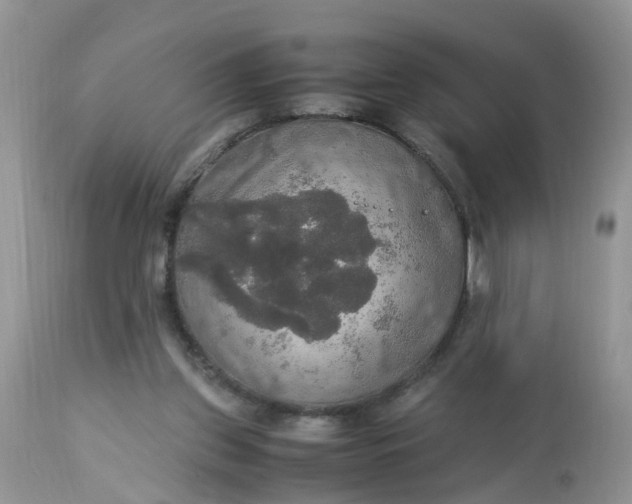 X0000113110157200909111123