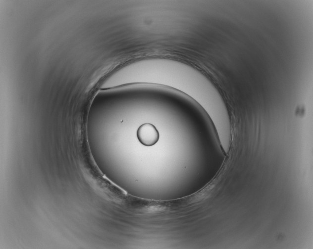 X0000113110158200909111123