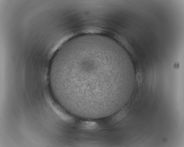 X0000113110159200909111123