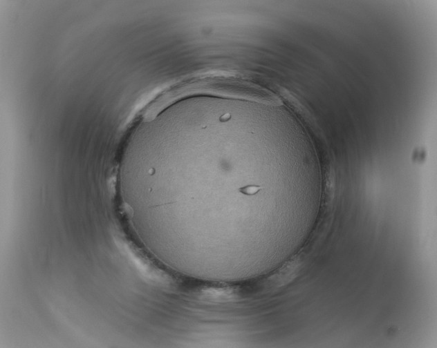 X0000113110160200909111123