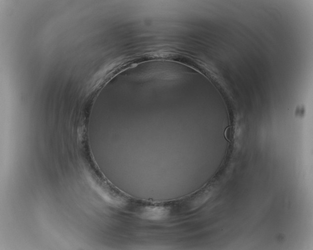 X0000113110161200909111123