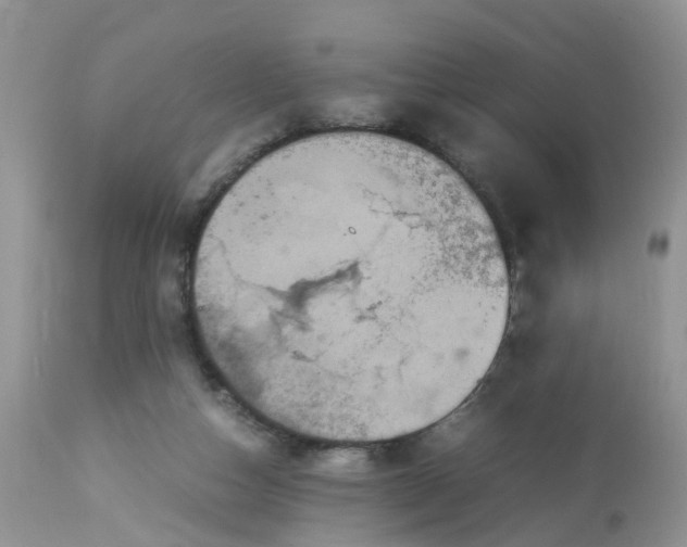 X0000113110162200909111123