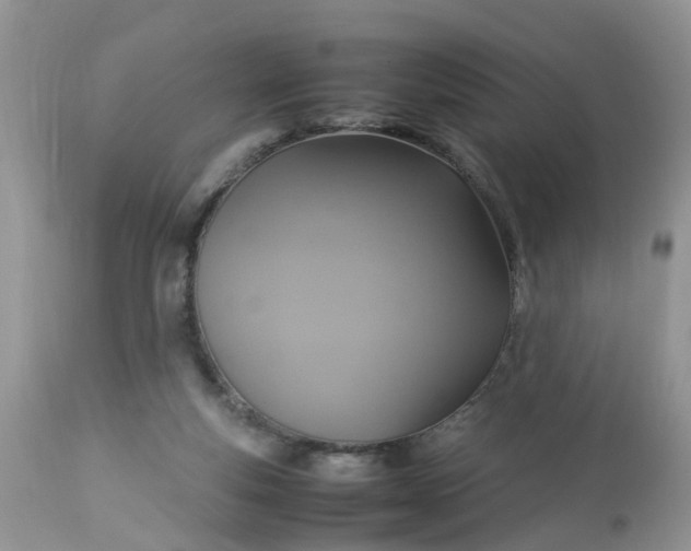 X0000113110163200909111123