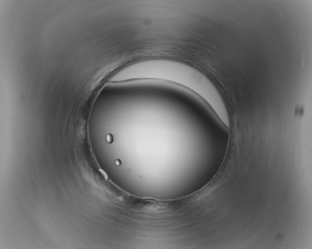 X0000113110164200909111123