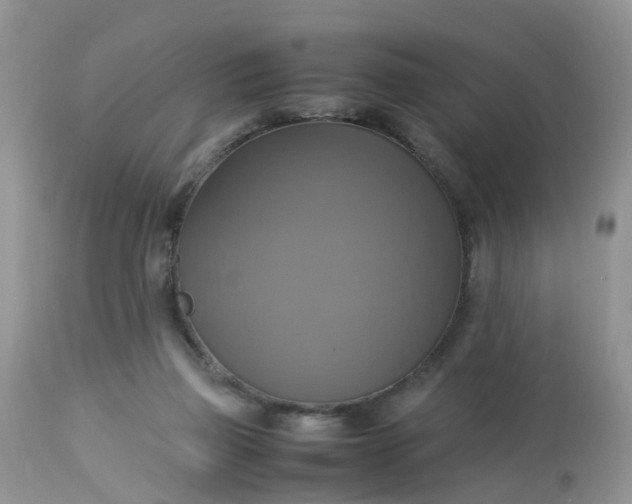 X0000113110165200909111123
